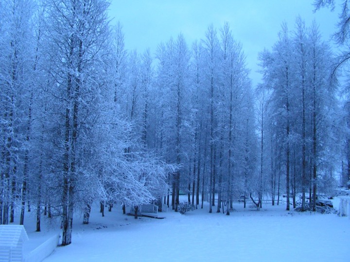 KONICA MINOLTA DIGITAL CAMERA