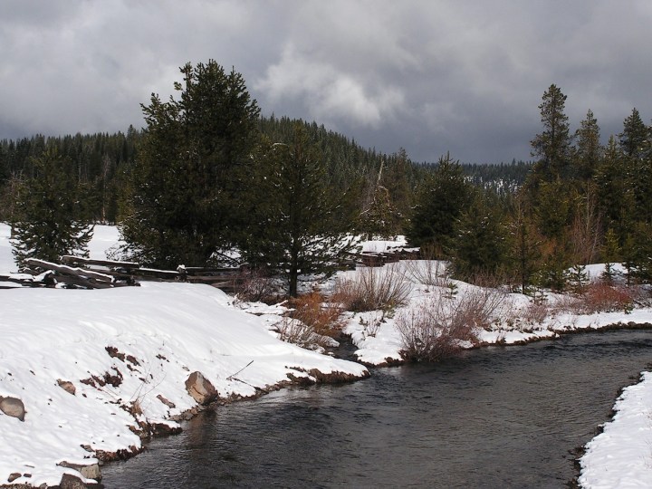 KONICA MINOLTA DIGITAL CAMERA