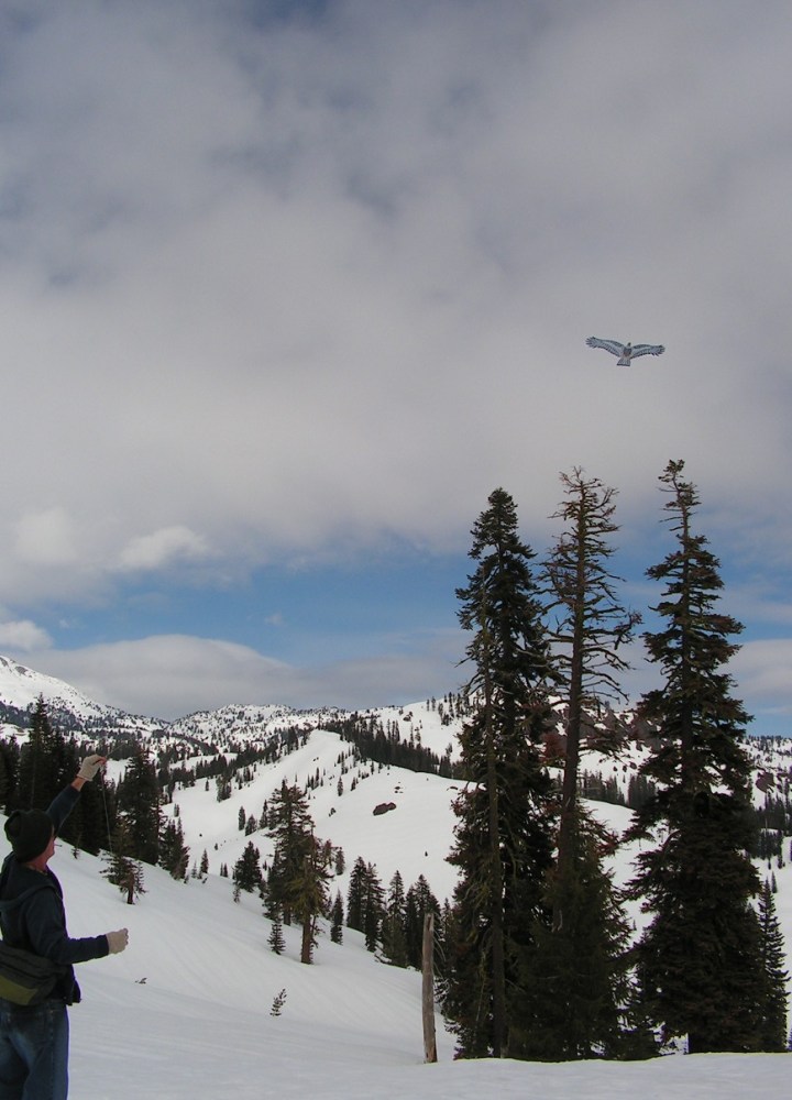 KONICA MINOLTA DIGITAL CAMERA