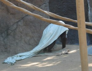 P 25